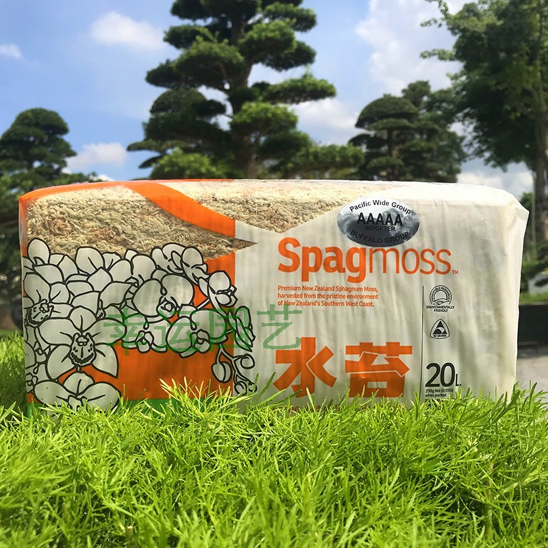 Preserved Moss Sheet - Yeni Zelanda 5A Sphagnum Yosunu, Geyik