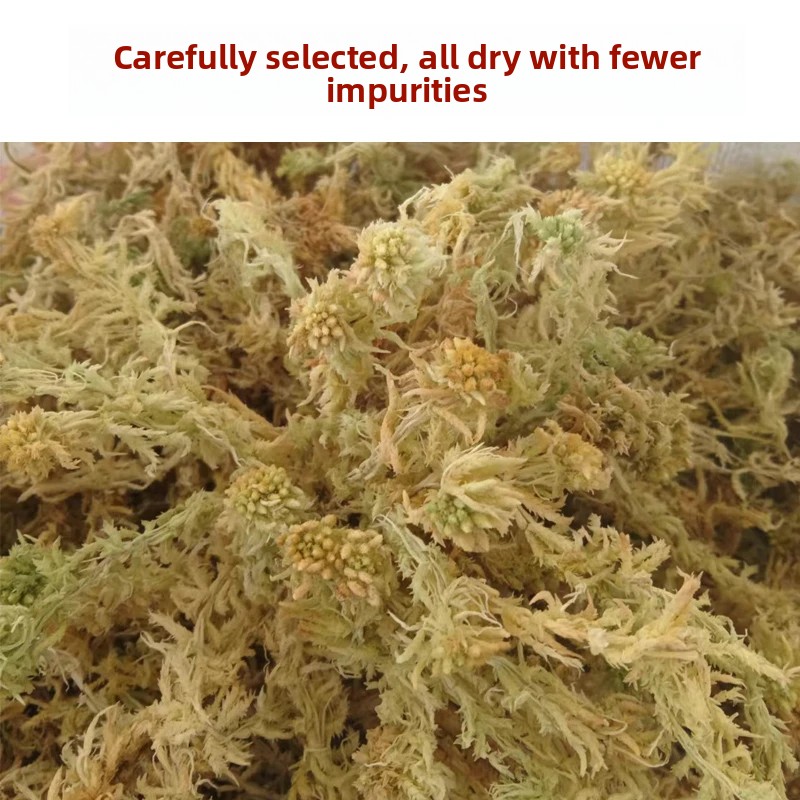 A Sınıfı Kurutulmuş Sphagnum Y - Preserved Moss Sheet incelemesi ve fiyatı